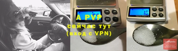 a pvp Белокуриха